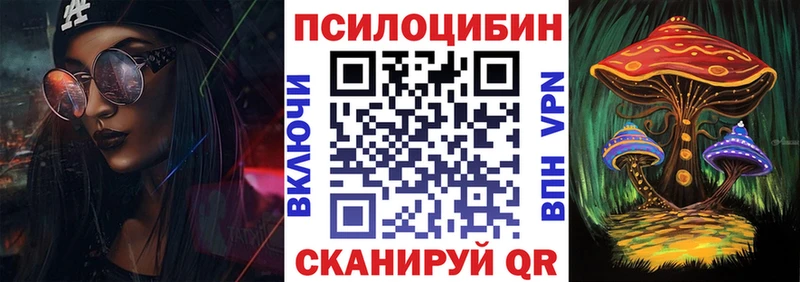 наркотики  Черноголовка  Галлюциногенные грибы Psilocybine cubensis 